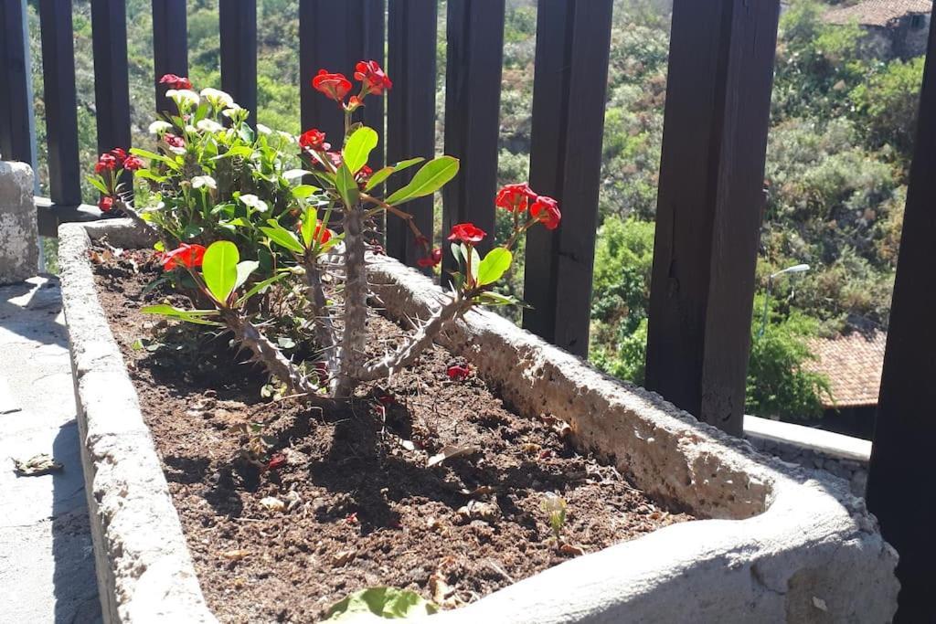 Casa Tia Rosa. Villa Costa Adeje Dış mekan fotoğraf